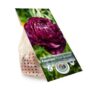 product-272361-1788553896-DEV01-0000022^2